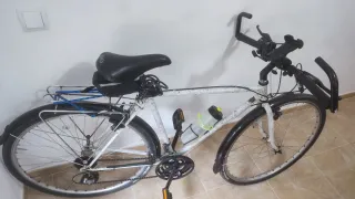 Bicicleta Híbrida cicloturismo Torrot 313
