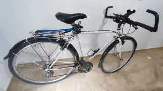 Bicicleta Híbrida cicloturismo Torrot 313