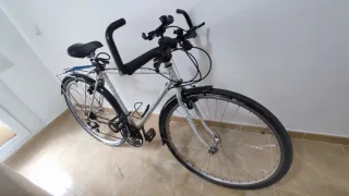 Bicicleta Híbrida cicloturismo Torrot 313