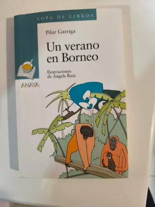 Un verano en Borneo (Sopa De Libro / Book Soup)...