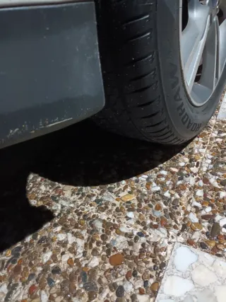 Neumático Firestone 205 55 R16