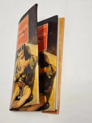 Libro El Lazarillo de Tornes 'Anónimo" Edito/Alba