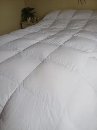 Relleno Nórdico Ferdown 180×220