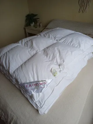 Relleno Nórdico Ferdown 180×220