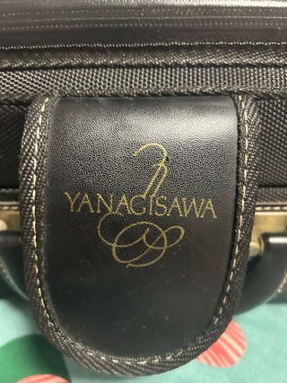 Saxofón Alto Yanagisawa A-WO10