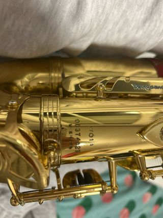 Saxofón Alto Yanagisawa A-WO10