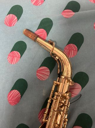 Saxofón Alto Yanagisawa A-WO10