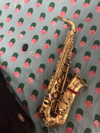 Saxofón Alto Yanagisawa A-WO10