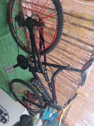 Bicicleta