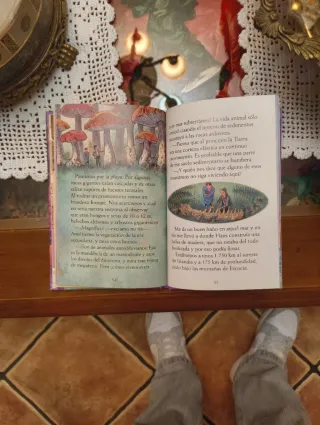 Viaje al centro de la Tierra