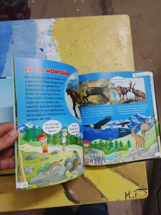 DESCUBRIMOS LOS ANIMALES