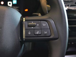 Citroën C5 X PureTech 96kW (130CV) S&amp;S EAT8 Feel Pack