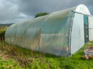 Invernadero 10x5m