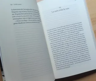 Escac al destí (Novela - Lluís Llach - catalán)