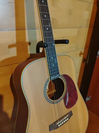 Guitarra Acústica Ashton