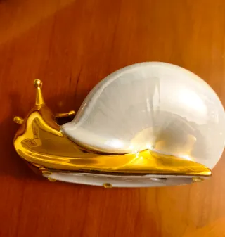Hermoso caracol de porcelana    " 9 "