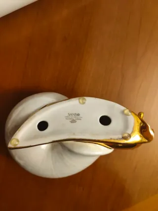 Hermoso caracol de porcelana    " 9 "