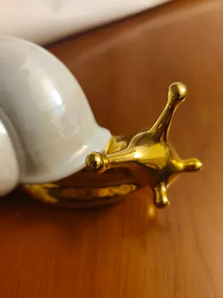 Hermoso caracol de porcelana    " 9 "