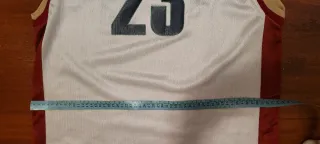 Maglia Cleveland Cavaliers LeBron James 23