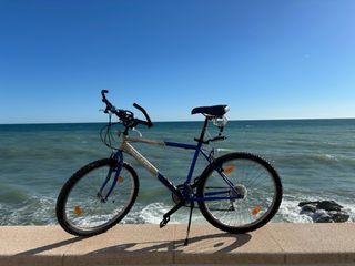 Bicicleta de montaña