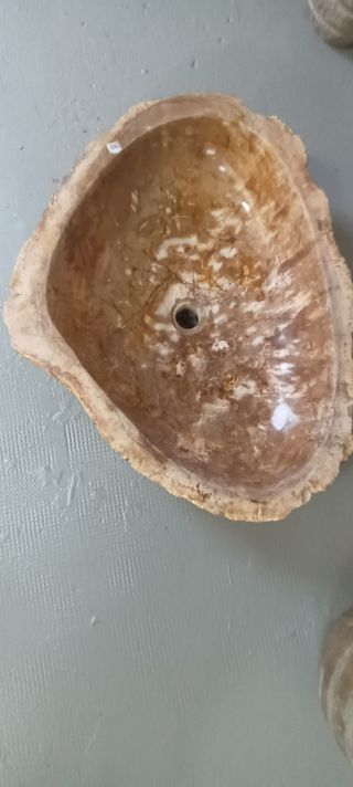 Lavabo de madera petrificada natural