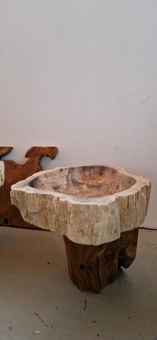 Lavabo de madera petrificada natural