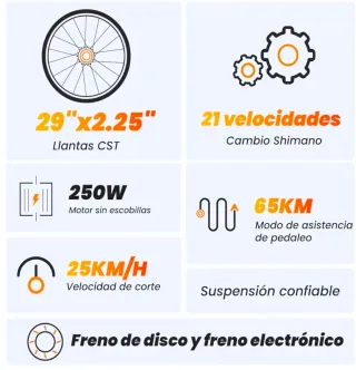Bicicleta Eléctrica Asistida 29