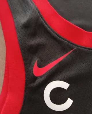 Camiseta Nike Chicago Bulls