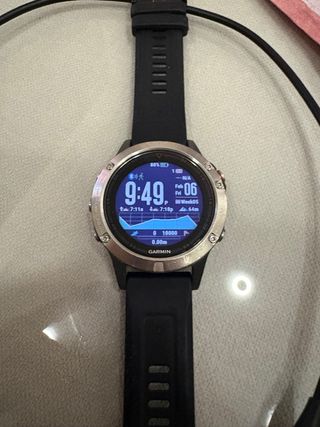 Garmin Fenix 5 Plata/Negro