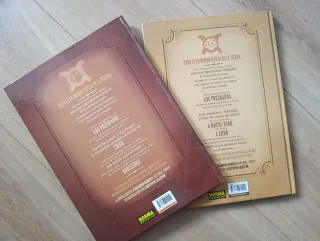 Lote 2 libros Ekho Mundo Espejo