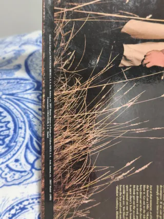 Van Morrison A Sense of Wonder Vinilo LP, 1985.