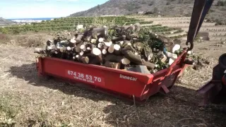 Leña de naranjo para chimeneas, estufas y barbacoa