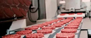 Túnel de congelación ultrarrápida