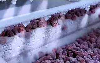 Túnel de congelación ultrarrápida