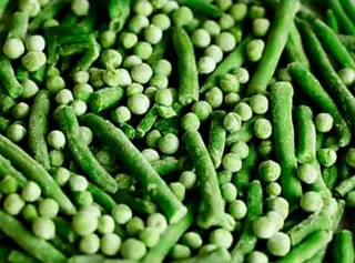 Túnel de congelación ultrarrápida