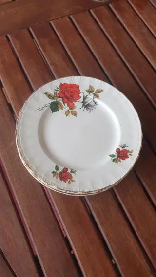 Platos Royal Tudor Ware Floral Vintage. England