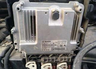 Rodamientos tambor freno trasero citroen c3 338867