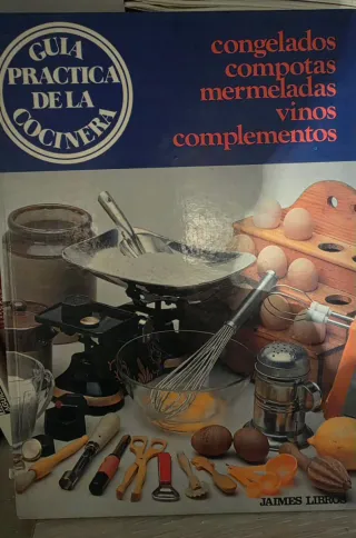 GUIA PRACTICA DE COCINA