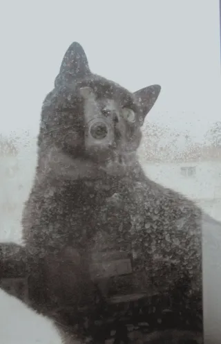 Canon IXUS 60, Y2k Edición Metálica con Visor