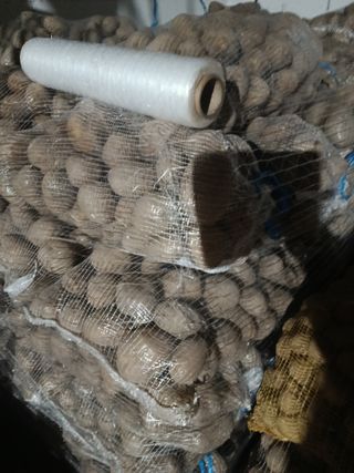 Patatas nuevas gallegas recién cosechadas