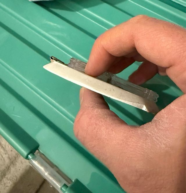 Plato Decorativo Loros Tenerife Cerámica