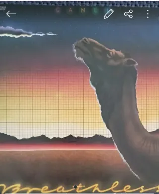 Vinilo Lote 4discos vinilo nternational Pop Rock