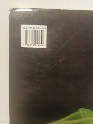 Introducción a la teoría del derecho del grado ...