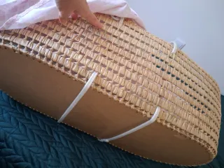 Moisés para bebé con capota