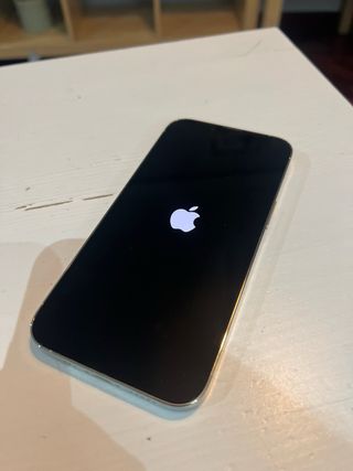 iPhone 13 Pro 128GB Plata