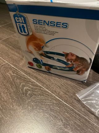 Lote accesorios gato: camas y juguetes