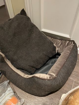 Lote accesorios gato: camas y juguetes