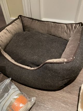 Lote accesorios gato: camas y juguetes