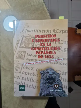 DERECHOS Y LIBERTADES EN LA CONSTITUCION ESPAÑO...