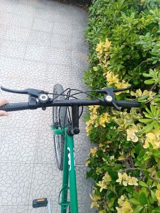 Bicicleta de montaña verde